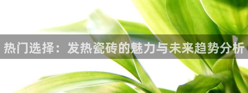 华润娱乐程判官21