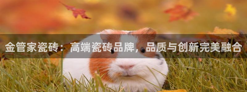 华润娱乐怎么样