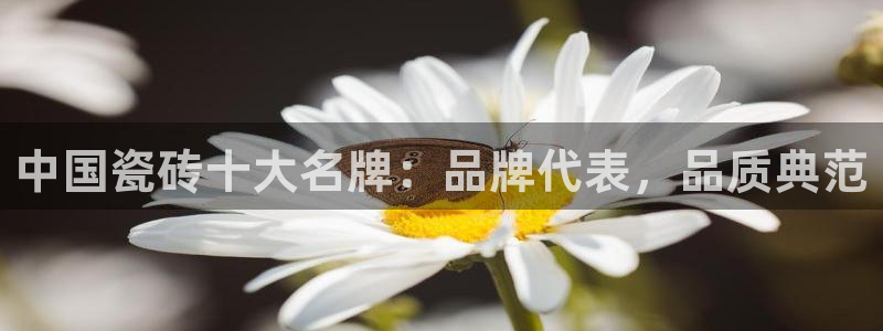 华润娱乐月7O667
