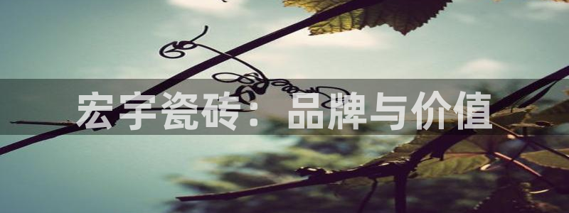 华润娱乐看