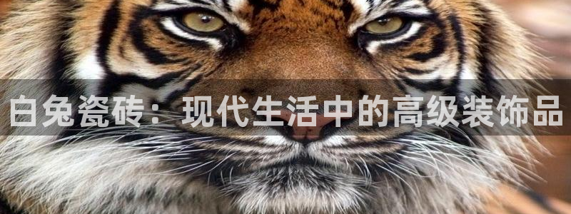 银河娱乐和华润集团