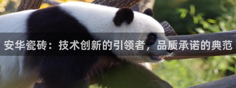 华润娱乐登陆