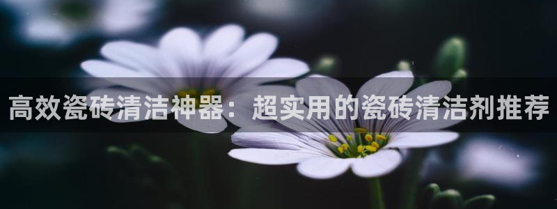 华润娱乐贪 92222