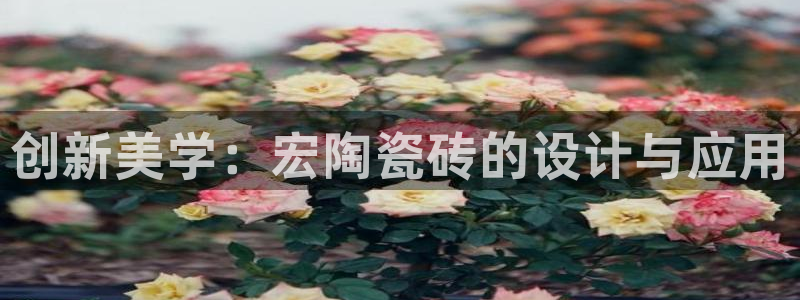 华润娱乐粗122222