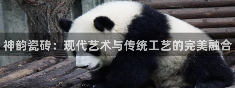 华润娱乐来认46996