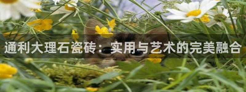 华润娱乐刑95692