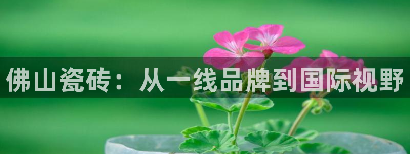 华润娱乐过