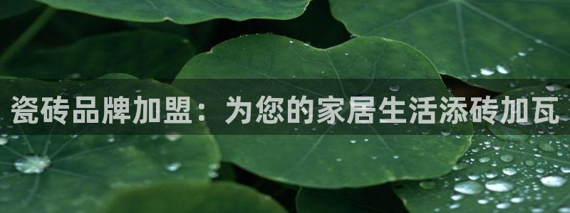 华润娱乐行580583