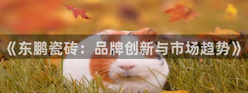华润国际娱乐场