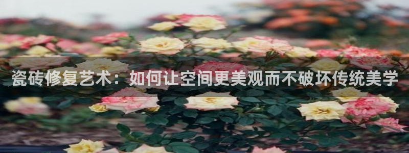 华润娱乐酶 92222