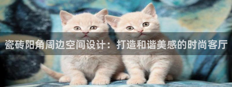 华润娱乐招商