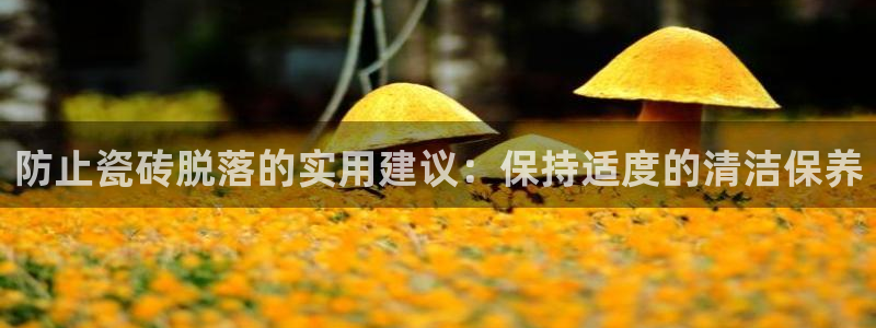 华润娱乐平台招商