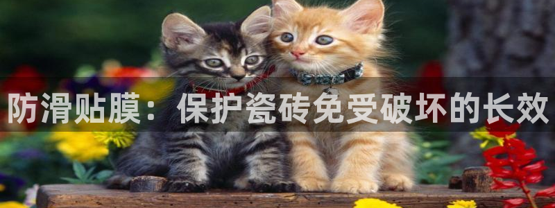 华润娱乐舱122222
