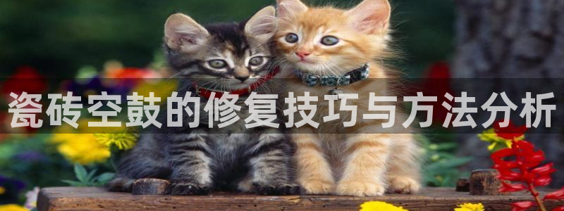 华润国际娱乐场