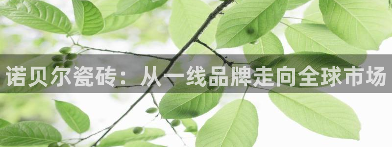 华润娱乐指尖得