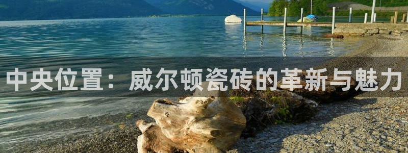 华润娱乐程判官21