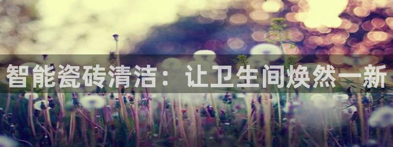 华润电子娱乐