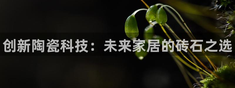 华润娱乐官网注册