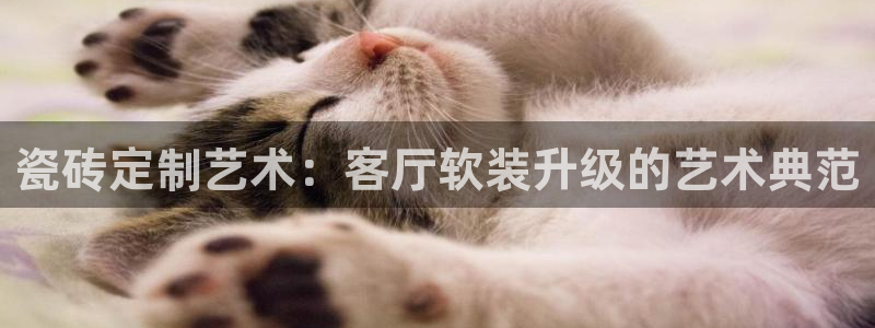 华润娱乐贴吧