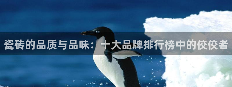 华润娱乐2853179Z空间