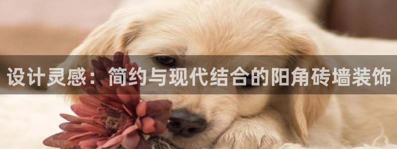 华润万象天地娱乐