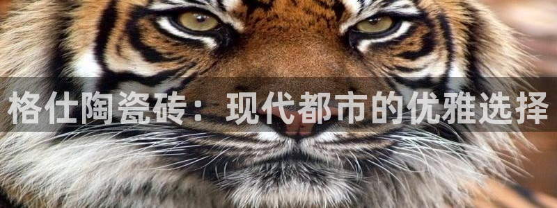 华润娱乐2