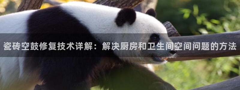 华润集团娱乐公司地址