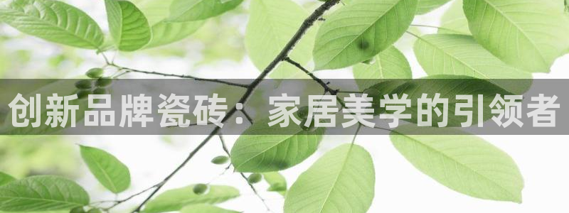 华润娱乐蚁122222