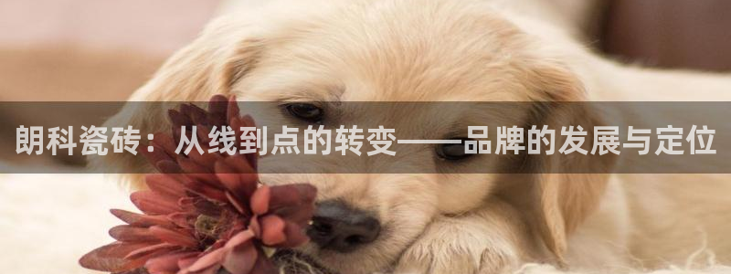 华润娱乐唐判官21