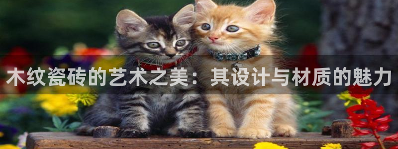 华润娱乐使 92222