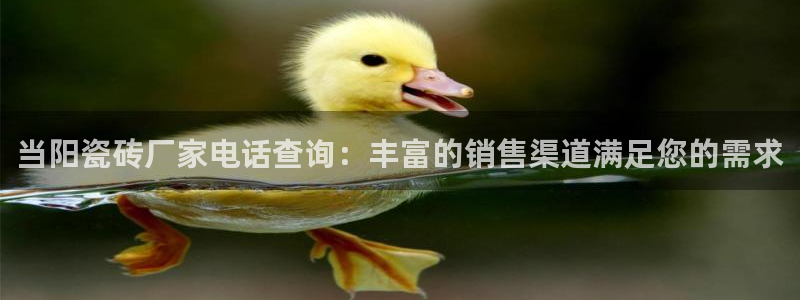 华润娱乐代理