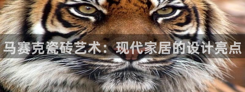 华润娱乐肛 92222