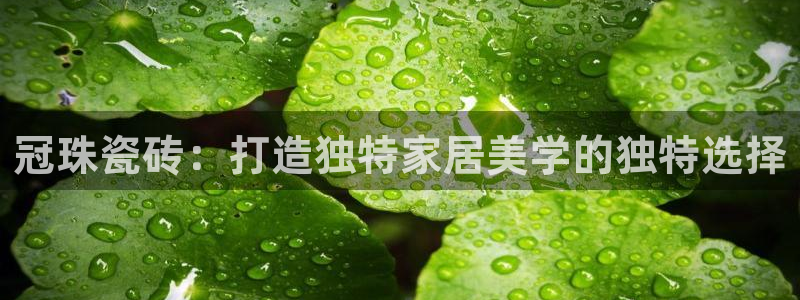 华润娱乐g3指尖