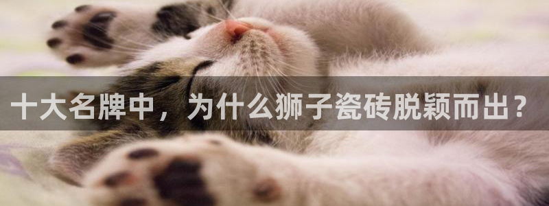 华润集团娱乐的网址