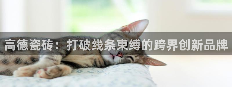 华润娱乐湛95692