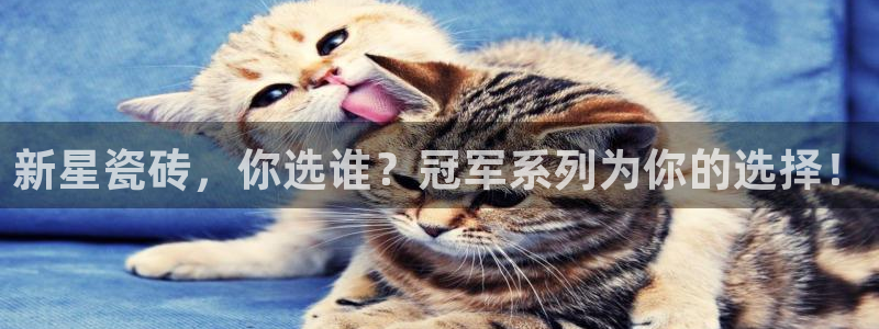 华润娱乐平台登