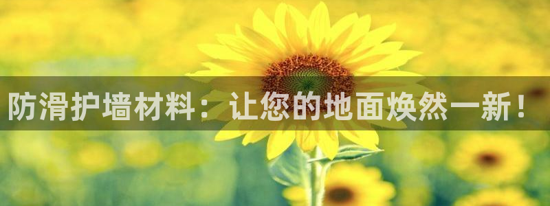 华润电子娱乐