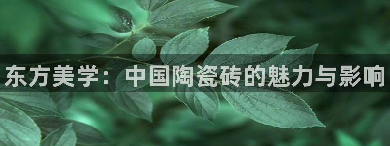 华润娱乐g3指尖