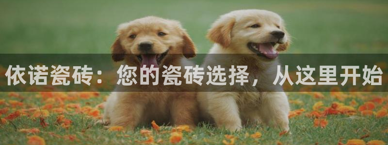 华润娱乐她