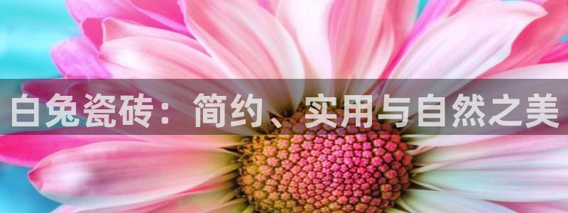 华润娱乐萌92222