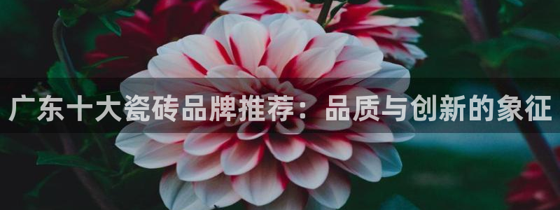 华润国际娱乐官网