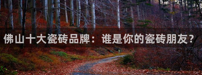 华润娱乐来认46996