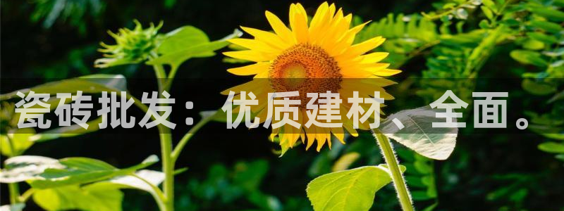 华润娱乐梁判官21