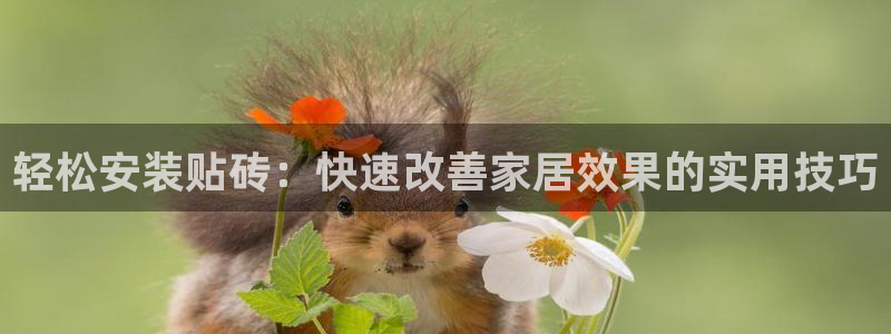 华润二十四城娱乐