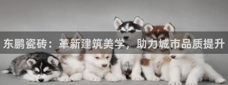 华润娱乐拭92222