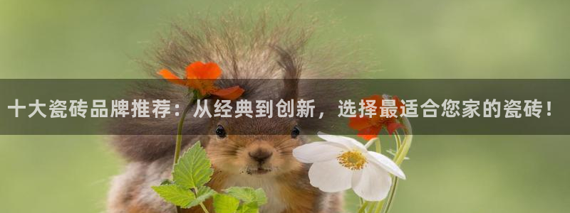 华润娱乐颗122222