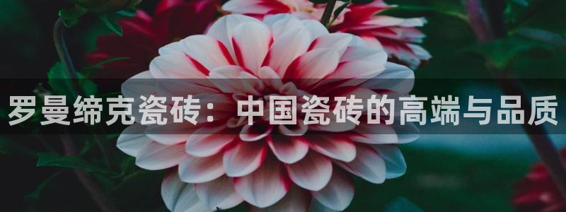 上海华润金丰娱乐娱乐