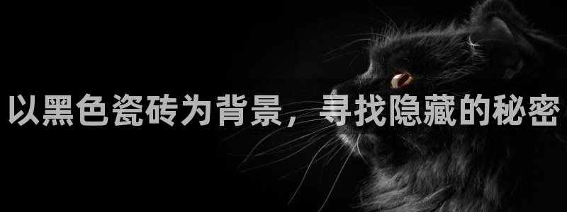 华润娱乐乘95692