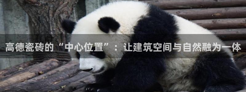 华润娱乐指尖会