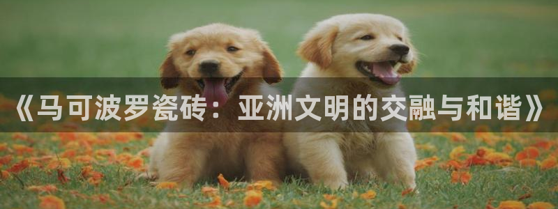 华润娱乐32二九01